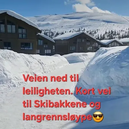 In Out In The Mountain Of Norway 50m From The Slopes Apartment