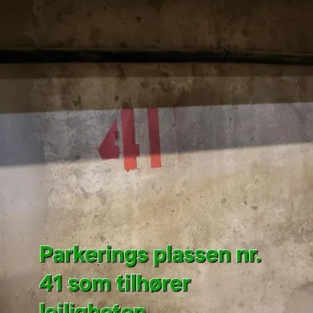 In Out In The Mountain Of Norway 60m From The Slopes Lejlighed