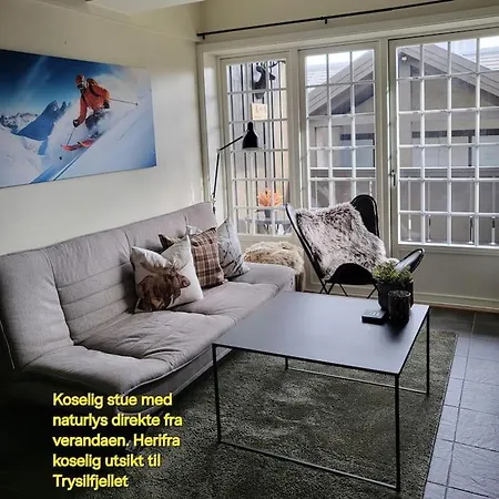 In Out In The Mountain Of Norway 60m From The Slopes Lejlighed Trysil